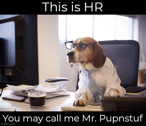 HR Pupnstuf | This is HR; You may call me Mr. Pupnstuf | image tagged in funny memes,dad jokes,eyeroll,bad puns,the 70s | made w/ Imgflip meme maker