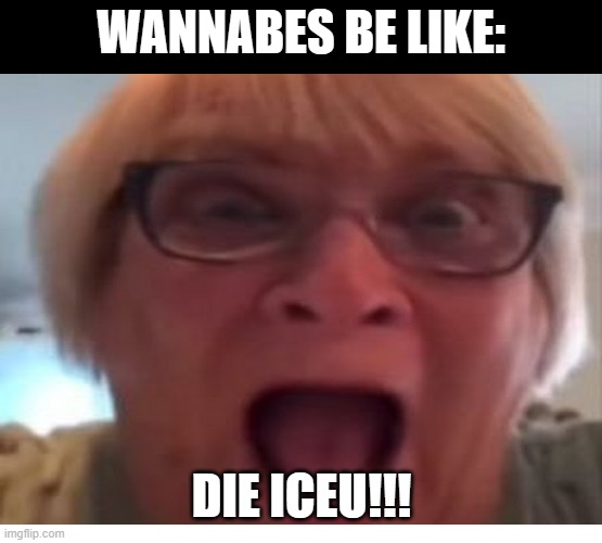 Wannabes: |  WANNABES BE LIKE:; DIE ICEU!!! | image tagged in grandma,wannabe,iceu,toxic,memes | made w/ Imgflip meme maker