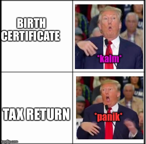 Trump yes no calm panic kalm panik | BIRTH CERTIFICATE; TAX RETURN | image tagged in trump yes no calm panic kalm panik | made w/ Imgflip meme maker