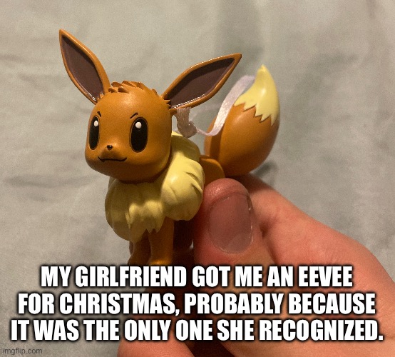 Image title | MY GIRLFRIEND GOT ME AN EEVEE FOR CHRISTMAS, PROBABLY BECAUSE IT WAS THE ONLY ONE SHE RECOGNIZED. | image tagged in image tags | made w/ Imgflip meme maker