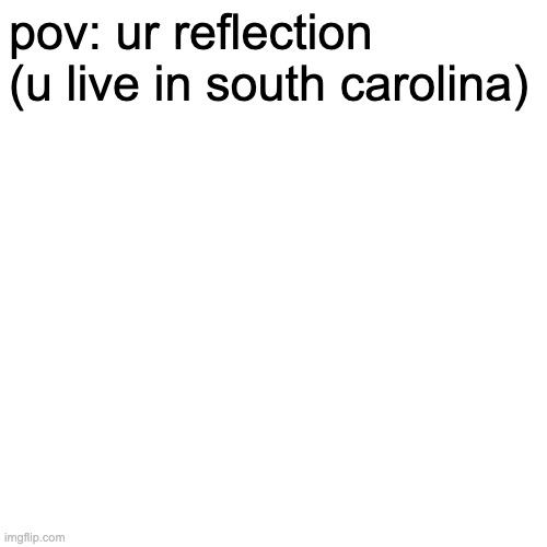 yall mfs dont exist | pov: ur reflection (u live in south carolina) | image tagged in memes,blank transparent square | made w/ Imgflip meme maker
