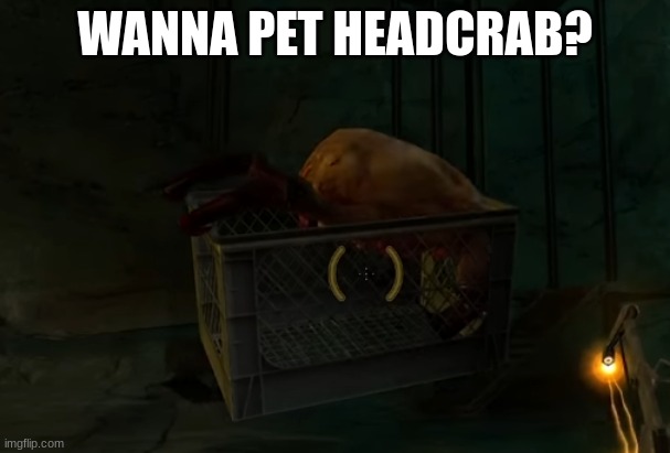 do you want a pet headcrab? | WANNA PET HEADCRAB? | image tagged in headcrab kidnapping | made w/ Imgflip meme maker