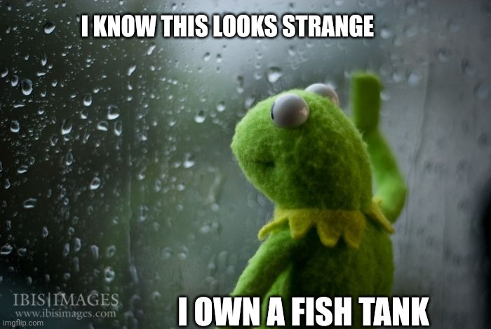 kermit window | I KNOW THIS LOOKS STRANGE; I OWN A FISH TANK | image tagged in kermit window | made w/ Imgflip meme maker