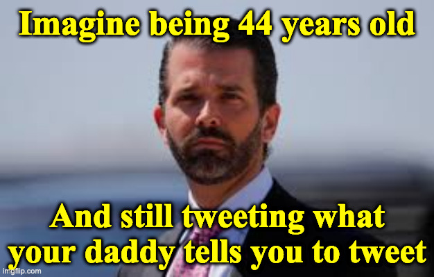 donald trump jr | Imagine being 44 years old; And still tweeting what your daddy tells you to tweet | image tagged in donald trump jr | made w/ Imgflip meme maker