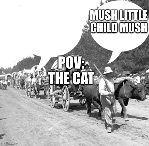 Snowflake wagon train | POV: THE CAT MUSH LITTLE CHILD MUSH | image tagged in snowflake wagon train | made w/ Imgflip meme maker
