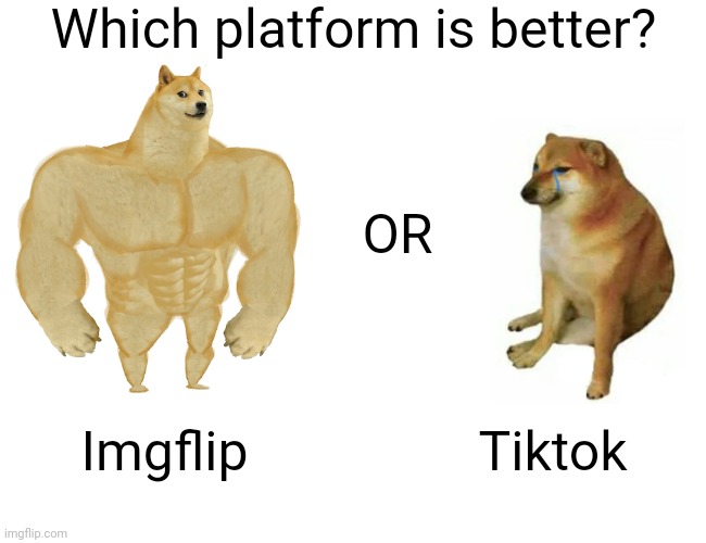 You decide..... | Which platform is better? OR; Imgflip; Tiktok | image tagged in memes,buff doge vs cheems,tiktok,tiktok sucks,imgflip,imgflip unite | made w/ Imgflip meme maker
