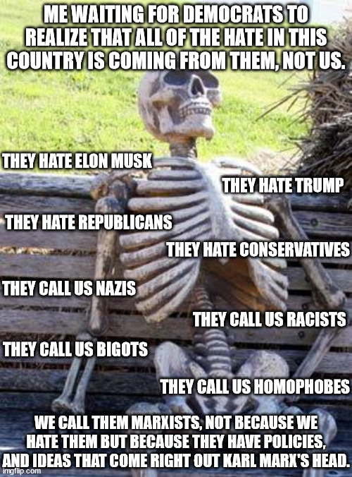 Conservatives don't hate anyone.  We never did.  We're Americans, not Nazis.  We have nothing in common with Nazis. | ME WAITING FOR DEMOCRATS TO REALIZE THAT ALL OF THE HATE IN THIS COUNTRY IS COMING FROM THEM, NOT US. THEY HATE ELON MUSK; THEY HATE TRUMP; THEY HATE REPUBLICANS; THEY HATE CONSERVATIVES; THEY CALL US NAZIS; THEY CALL US RACISTS; THEY CALL US BIGOTS; THEY CALL US HOMOPHOBES; WE CALL THEM MARXISTS, NOT BECAUSE WE HATE THEM BUT BECAUSE THEY HAVE POLICIES, AND IDEAS THAT COME RIGHT OUT KARL MARX'S HEAD. | image tagged in democrat haters,party of hate,they invent things to hate,they live to hate | made w/ Imgflip meme maker