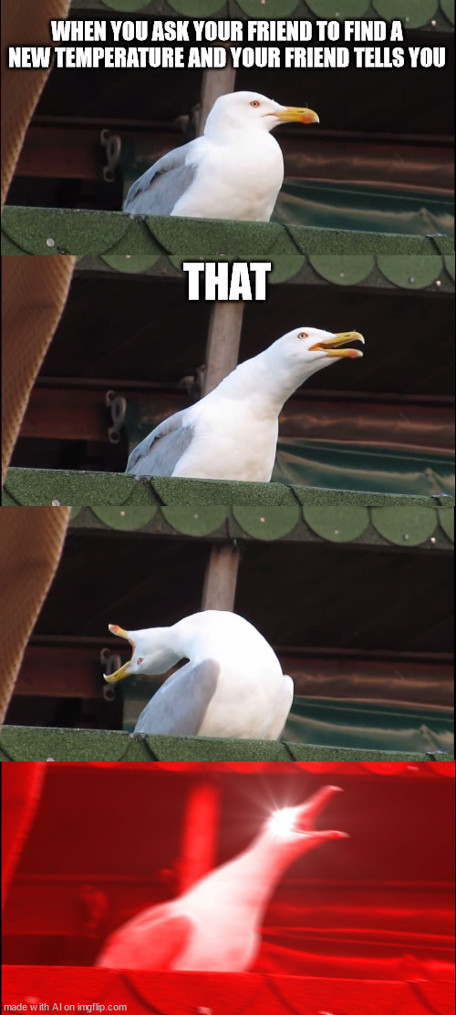 Guess that's a no | WHEN YOU ASK YOUR FRIEND TO FIND A NEW TEMPERATURE AND YOUR FRIEND TELLS YOU; THAT | image tagged in memes,inhaling seagull | made w/ Imgflip meme maker