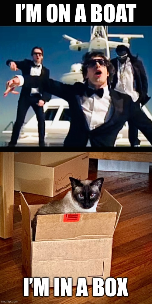 I’m on a boat | I’M ON A BOAT; I’M IN A BOX | image tagged in funny cats,on a boat,snl,funny,cats,lonely island | made w/ Imgflip meme maker