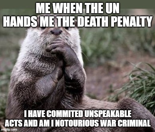 Questioning Otter | ME WHEN THE UN HANDS ME THE DEATH PENALTY; I HAVE COMMITED UNSPEAKABLE ACTS AND AM I NOTOURIOUS WAR CRIMINAL | image tagged in questioning otter | made w/ Imgflip meme maker