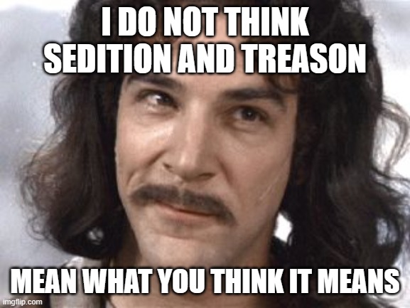 I Do Not Think That Means What You Think It Means | I DO NOT THINK SEDITION AND TREASON MEAN WHAT YOU THINK IT MEANS | image tagged in i do not think that means what you think it means | made w/ Imgflip meme maker