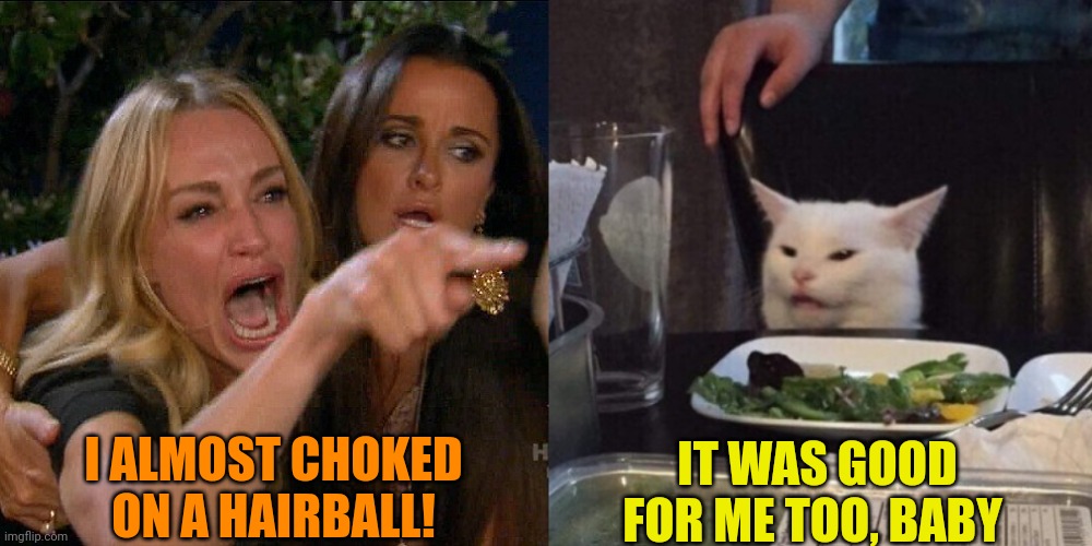 Woman yelling at cat | I ALMOST CHOKED ON A HAIRBALL! IT WAS GOOD FOR ME TOO, BABY | image tagged in woman yelling at cat | made w/ Imgflip meme maker