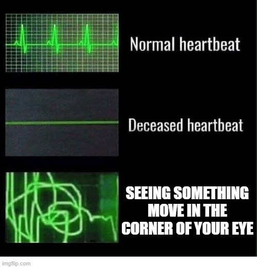 normal heartbeat,deceased heartbeat | SEEING SOMETHING MOVE IN THE CORNER OF YOUR EYE | image tagged in normal heartbeat deceased heartbeat | made w/ Imgflip meme maker