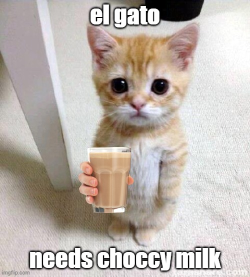 el gato :( | el gato; needs choccy milk | image tagged in memes,el gato,funny memes,choccy milk | made w/ Imgflip meme maker