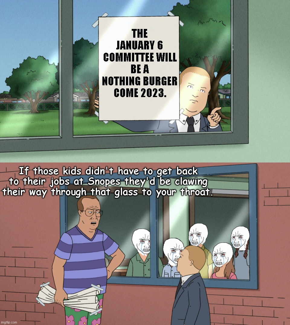 Bobby Hill and liberal kids | THE JANUARY 6 COMMITTEE WILL BE A NOTHING BURGER COME 2023. If those kids didn't have to get back to their jobs at Snopes they'd be clawing their way through that glass to your throat. | image tagged in bobby hill and liberal kids,jan 6 committee,crying liberals,triggered liberal,political humor | made w/ Imgflip meme maker
