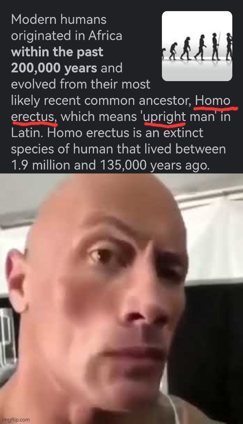 AYO upright ? | image tagged in the rock eyebrows,humanity,homo,ayo,humans,idk | made w/ Imgflip meme maker