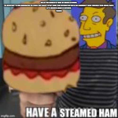 Have a steamed ham | HELLO! YOU CURRENTLY HAVE NO IMAGES IN MSMG.

I'M RELUCTANT TO GIVE MODERATOR TO A USER THAT HASN'T SPENT SOME TIME INTERACTING WITH THE COMMUNITY HERE THROUGH THEIR IMAGE PAGES.

LET'S DISCUSS AGAIN IN OCTOBER.

THANKS | image tagged in have a steamed ham | made w/ Imgflip meme maker