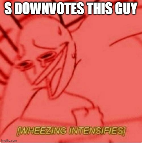 Wheeze | S DOWNVOTES THIS GUY | image tagged in wheeze | made w/ Imgflip meme maker