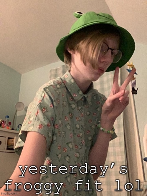 i got so many compliments at school :D (one kid gave dirty looks but he bullies me anyway-) | yesterday’s froggy fit lol | image tagged in frog,gay | made w/ Imgflip meme maker