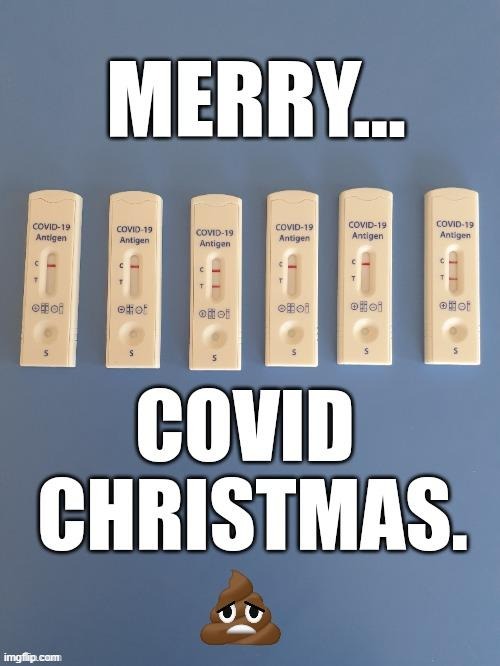 Covid Christmas | image tagged in covid,christmas | made w/ Imgflip meme maker