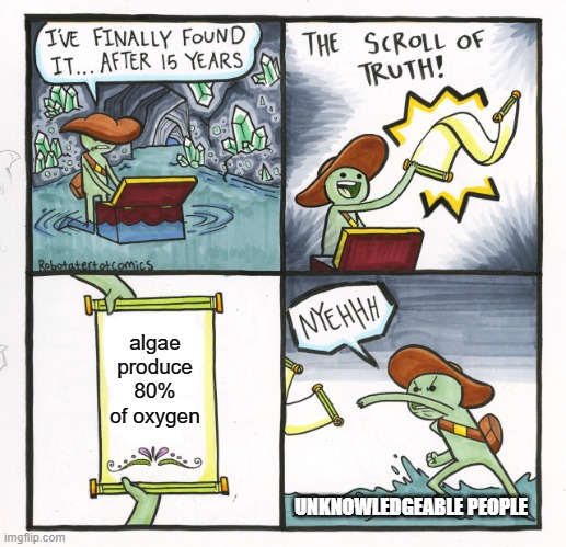 The Scroll Of Truth | algae produce 80% of oxygen; UNKNOWLEDGEABLE PEOPLE | image tagged in memes,the scroll of truth | made w/ Imgflip meme maker