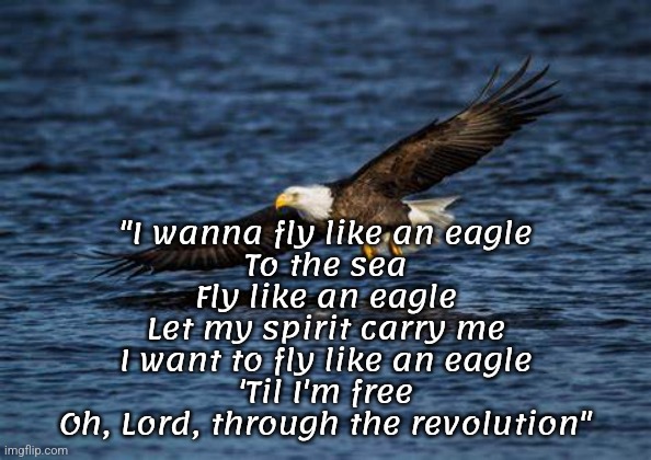 "Fly Like an Eagle" | "I wanna fly like an eagle
To the sea
Fly like an eagle
Let my spirit carry me
I want to fly like an eagle
'Til I'm free
Oh, Lord, through the revolution" | image tagged in music,solitude,birds | made w/ Imgflip meme maker