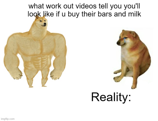 This is why you shouldnt believe them | what work out videos tell you you'll look like if u buy their bars and milk; Reality: | image tagged in memes,buff doge vs cheems | made w/ Imgflip meme maker