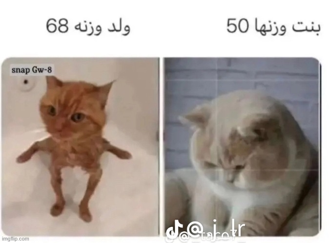 image tagged in foreign | made w/ Imgflip meme maker