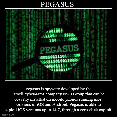 PEGASUS | image tagged in funny,demotivationals,pegasus | made w/ Imgflip demotivational maker