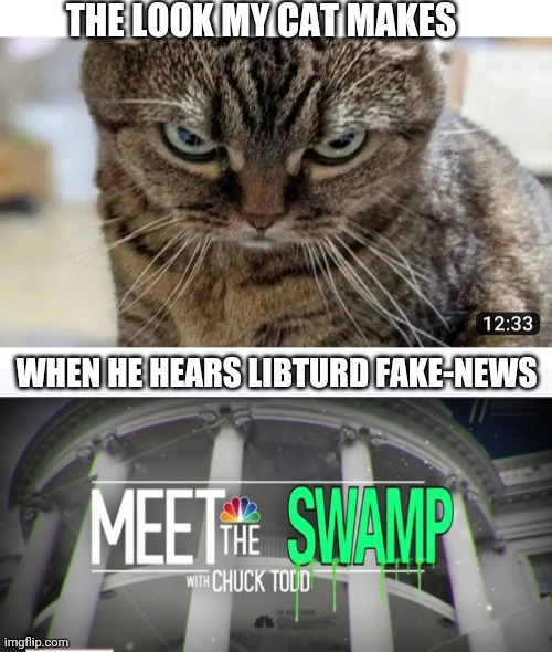 Kitty hates fake-news | THE LOOK MY CAT MAKES; WHEN HE HEARS LIBTURD FAKE-NEWS | image tagged in libtards,you're fired | made w/ Imgflip meme maker