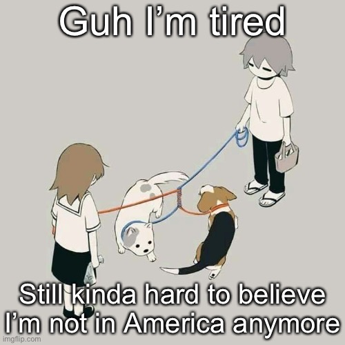 Avogado6 | Guh I’m tired; Still kinda hard to believe I’m not in America anymore | image tagged in avogado6 | made w/ Imgflip meme maker