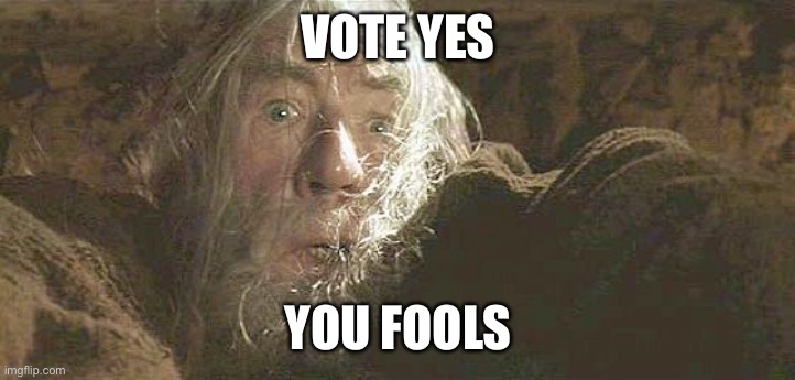 Gandalf Fly You Fools | VOTE YES; YOU FOOLS | image tagged in gandalf fly you fools | made w/ Imgflip meme maker