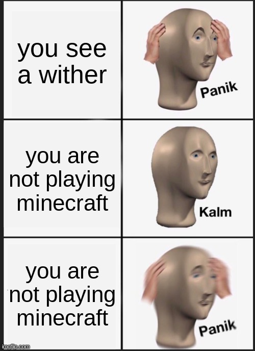 Panik Kalm Panik | you see a wither; you are not playing minecraft; you are not playing minecraft | image tagged in memes,panik kalm panik | made w/ Imgflip meme maker