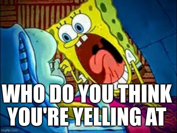 any adult when i slightly raise my voice at them | WHO DO YOU THINK YOU'RE YELLING AT | image tagged in spongebob yelling | made w/ Imgflip meme maker