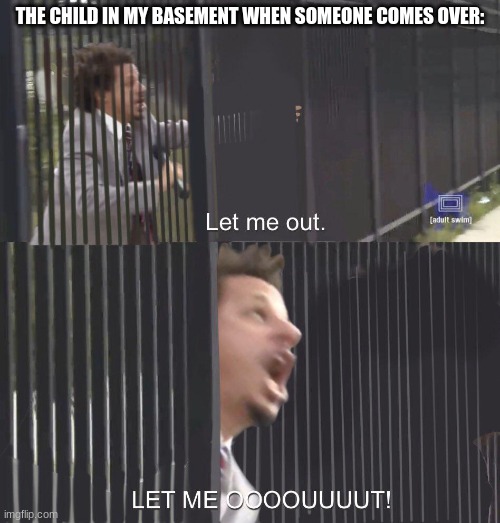 LET ME OUT | THE CHILD IN MY BASEMENT WHEN SOMEONE COMES OVER: | image tagged in let me out | made w/ Imgflip meme maker