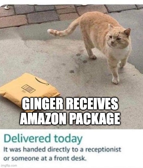 GINGER RECEIVES AMAZON PACKAGE | made w/ Imgflip meme maker