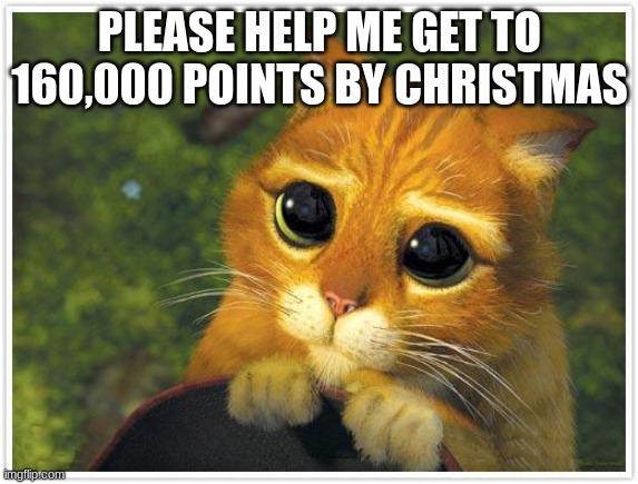 I started less than a month ago lol | PLEASE HELP ME GET TO 160,000 POINTS BY CHRISTMAS | image tagged in memes,shrek cat | made w/ Imgflip meme maker