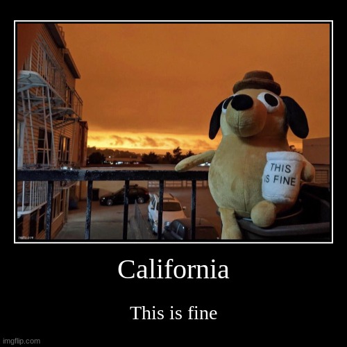 image tagged in funny,demotivationals,this is fine dog,california fires | made w/ Imgflip demotivational maker