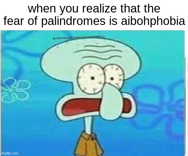 when you realize that the fear of palindromes is aibohphobia | image tagged in funny,fear | made w/ Imgflip meme maker