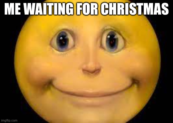 True. | ME WAITING FOR CHRISTMAS | image tagged in happy | made w/ Imgflip meme maker
