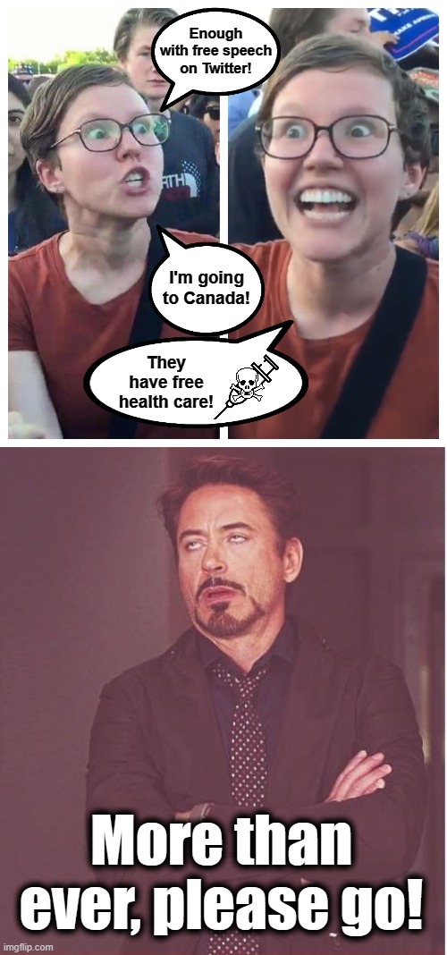 Twitter would be so much better there  ;) | Enough with free speech on Twitter! I'm going to Canada! They
have free
health care! More than ever, please go! | image tagged in hypocrite liberal,memes,face you make robert downey jr,canada,free health care,democrats | made w/ Imgflip meme maker