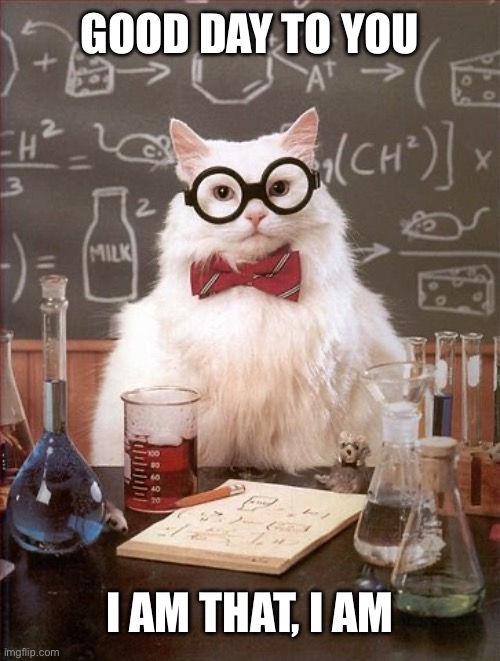 Professor Cat | GOOD DAY TO YOU I AM THAT, I AM | image tagged in professor cat | made w/ Imgflip meme maker