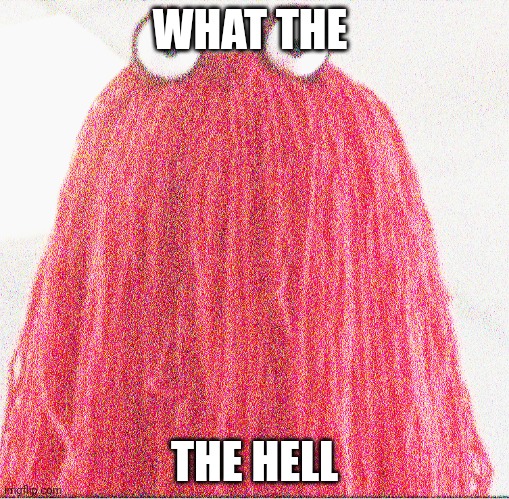 WHAT THE THE HELL | made w/ Imgflip meme maker