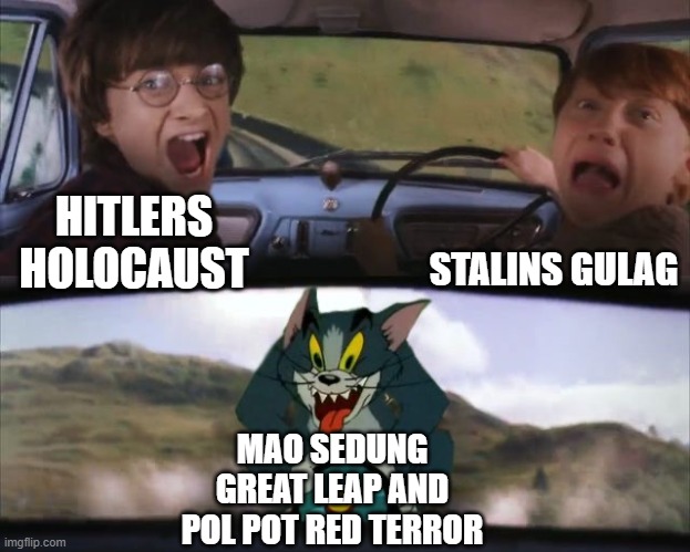 Tom chasing Harry and Ron Weasly | STALINS GULAG; HITLERS HOLOCAUST; MAO SEDUNG GREAT LEAP AND POL POT RED TERROR | image tagged in tom chasing harry and ron weasly | made w/ Imgflip meme maker