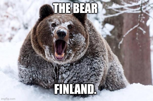 Cocaine bear | THE BEAR FINLAND. | image tagged in cocaine bear | made w/ Imgflip meme maker