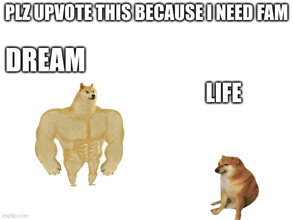 plz upvote this | PLZ UPVOTE THIS BECAUSE I NEED FAM; DREAM; LIFE | image tagged in funny | made w/ Imgflip meme maker