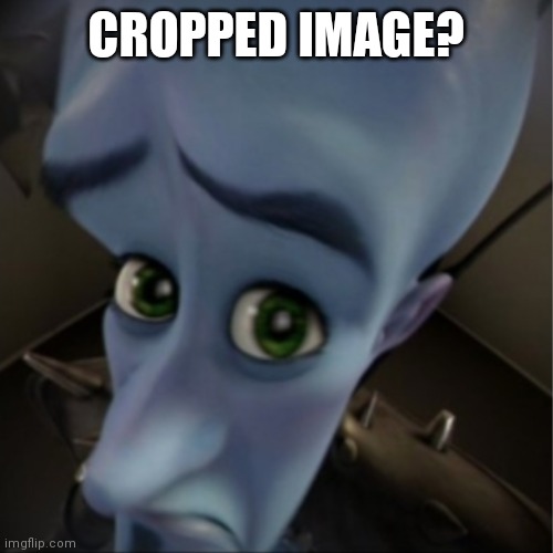 Megamind peeking | CROPPED IMAGE? | image tagged in megamind peeking | made w/ Imgflip meme maker