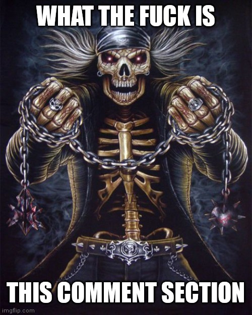 Badass Skeleton | WHAT THE FUCK IS THIS COMMENT SECTION | image tagged in badass skeleton | made w/ Imgflip meme maker