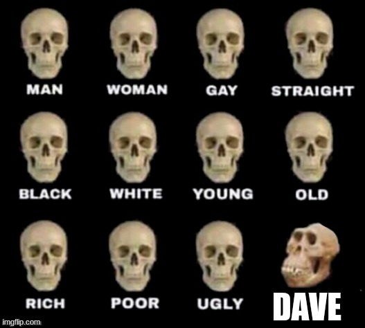 idiot skull | DAVE | image tagged in idiot skull | made w/ Imgflip meme maker