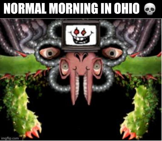 ohio | NORMAL MORNING IN OHIO 💀 | image tagged in ohio,omega flowey | made w/ Imgflip meme maker